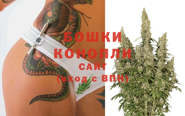 ПСИЛОЦИБИНОВЫЕ ГРИБЫ Бугульма