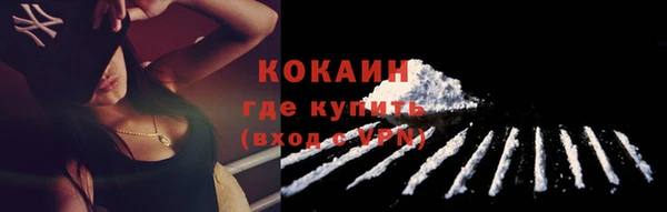 Альфа ПВП Бородино