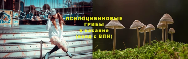 ПСИЛОЦИБИНОВЫЕ ГРИБЫ Бугульма